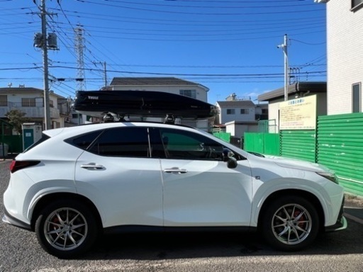 スーリー thuleルーフボックス