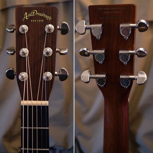 Aria Dreadnought AF-25 単板トップ ケース付属 Aria Dreadnought AF