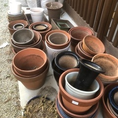 盆栽鉢、植木鉢、多数あります