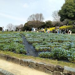 【SAD】対人不安を抱えた方で交流会のためのグループLINEメン...