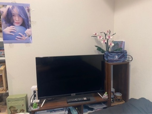 家電 テレビ 液晶テレビ