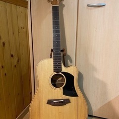 Cole Clark   FL1AC   ハードケース付