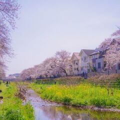 ◆60歳以上【骨盤調整のサークル】毎月・第２、４土曜に開催中！ 