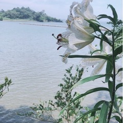 女友達募集中です🌸