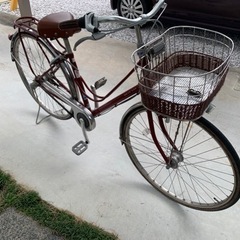 ブリヂストン（カジュナ）