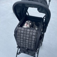 ペットパラダイス 大冠3wayバギー