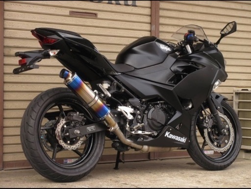 ③動画あり★NINJA250 EX250P★BMSマフラー！ABSモデル！走行少ない！ニンジャ250、Ninja250 動画あり☆NINJA250 EX250P☆BMSマフラー！ABSモデル！走行少ない