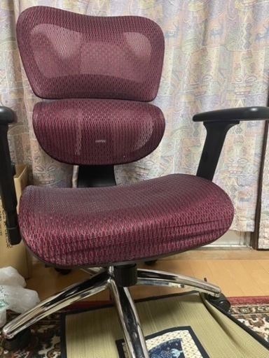 椅子 インテリア エルゴヒューマン   ✨値段交渉受け付けます✨