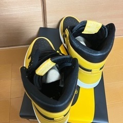 Nike Air Jordan 1 High OG \