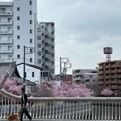 横浜に越してきて2年目…？🤔