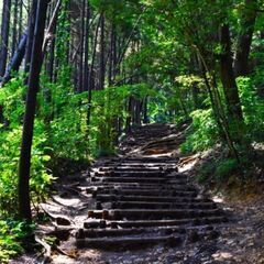 登山仲間募集！