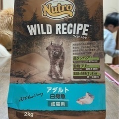 決まりました☘️キャットフード♥️Nutro♥️白身魚♥️成猫用♥️