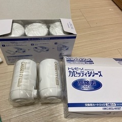 トレビーノ　カセッティ　高除去