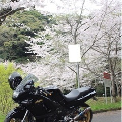 【ネット決済・配送可】バイク カワサキZZR400N