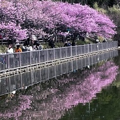 神奈川バツイチさんお出かけ仲間募集😊