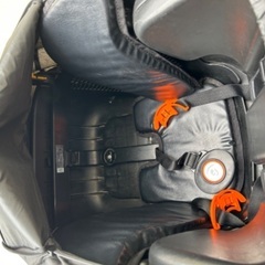 ふらっかーずシュシュ（後ろ子乗せ付き）