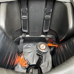 ふらっかーずシュシュ（後ろ子乗せ付き）