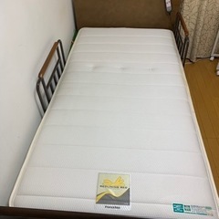 電動リクライニングフランスベッド