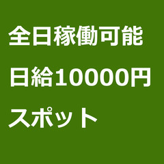 【スポット案件/急募!】【日給10000円】滋賀県近江八幡市 /...