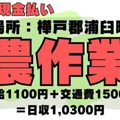 【浦臼町農作業】日払い／時給1100円＋交通費1500円