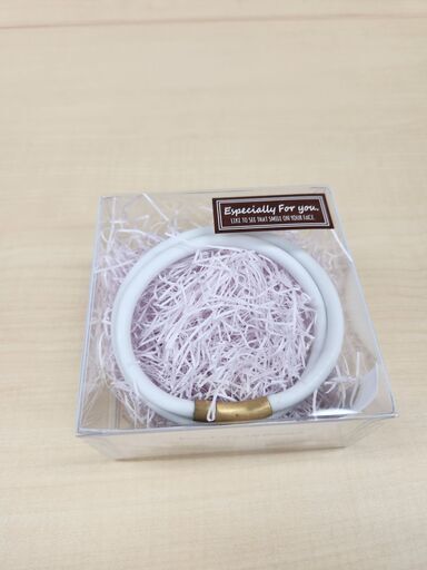 体幹安定スポーツネックレス ビオチェ