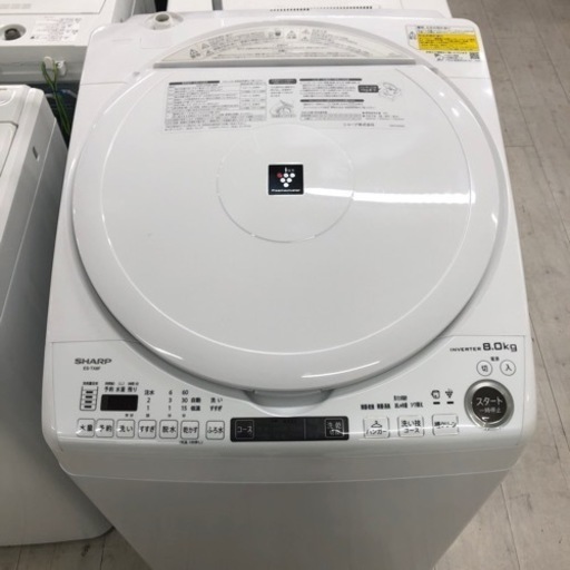 安心の1年保証付！！SHARP 縦型洗濯乾燥機　8.0kg 2022年製【トレファク堺福田店】