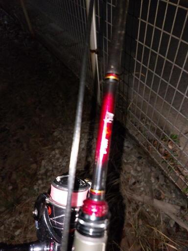 daiwa 月下美人