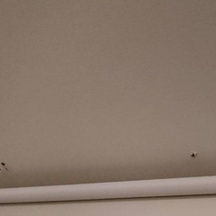 東京都清瀬市　天井の釘、アンカー穴