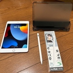 iPad mini5 Wi-Fi 256GB 社外ペン2本とケース付