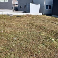 函館市内の草刈り、草むしりします！遠方の方のフルリモートも可！ − 北海道
