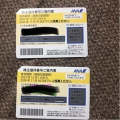 飛行機　ペア　新品　株主優待券