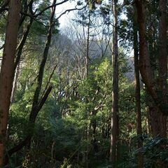 横浜の自然と逗子の海風～初級者向けトレイルラン in 金沢…