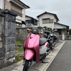 50cc ホンダ トゥデイ/HONDA TODAY  