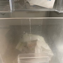 三菱電機冷蔵庫 MR-A41M  407L