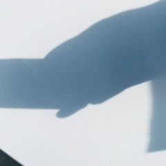 ⭐️SHARPノンフロン冷凍冷蔵庫⭐️ ⭐️SJ-D17C-S⭐️