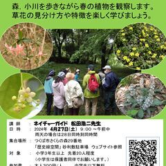 春の植物観察会 in 金田台（こんだだい）の歴史緑空間