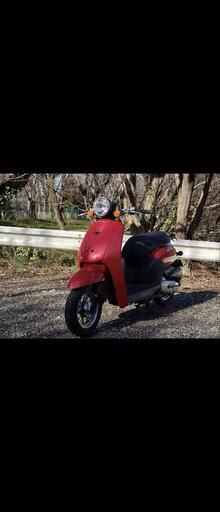 美車！　高燃費！　ホンダ　トゥデイ　af61　today　原付　スクーター　50cc