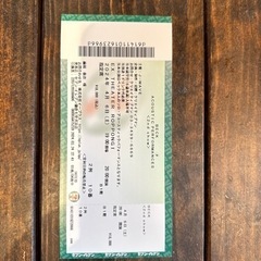 BECK アコースティックライブS席2列目1枚