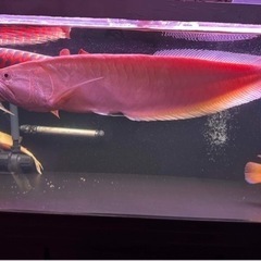 スポーツマリンスポーツ　