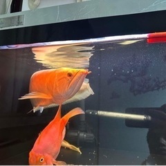 スポーツマリンスポーツ　