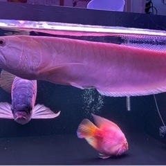 スポーツマリンスポーツ　