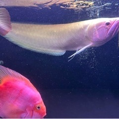 スポーツマリンスポーツ　