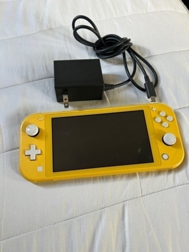 ニンテンドーSwitchライトジャンク品・Switch充電器