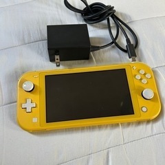 ニンテンドーSwitchライトジャンク品・Switch充電器