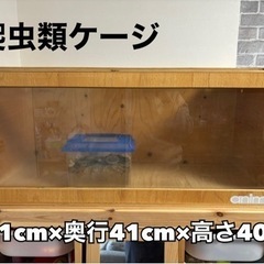 爬虫類ケージ