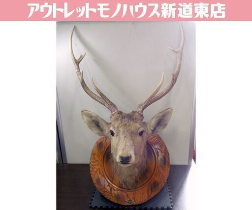 鹿 えぞ鹿 トロフィー 剥製 ハンティングトロフィー 壁飾り 北海 鹿 えぞ鹿 トロフィー 剥製 ハンティングトロフィー 壁飾り 北海