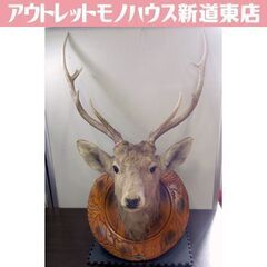 鹿 ハンティングトロフィー エゾ鹿の剥製 壁飾り インテリア