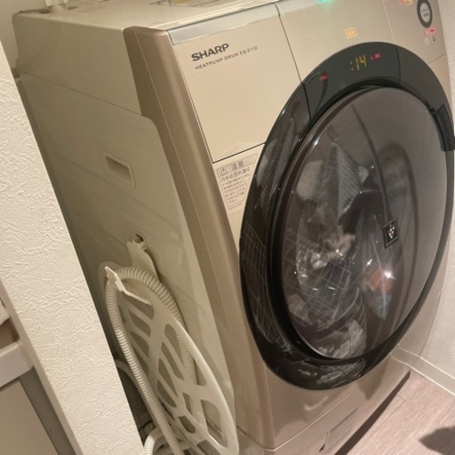 家電 生活家電 洗濯機