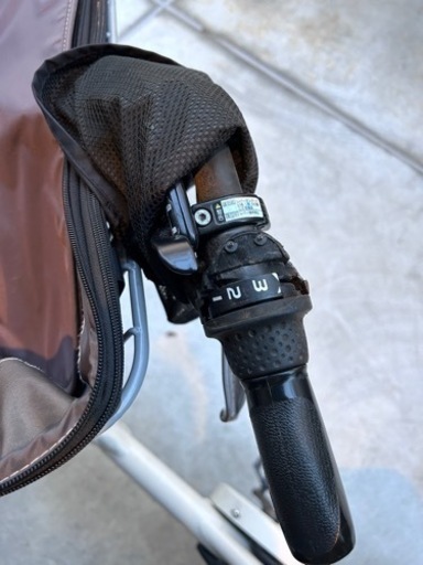 bikke polar2023年メンテ済○付属品いっぱい○3人乗り(写ってませ