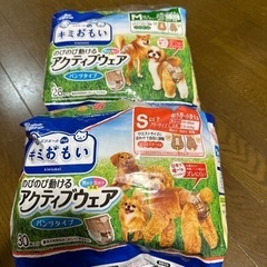 犬用オムツ